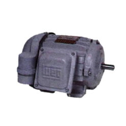 Motor Eléctrico Monofásico 1,5 CV 3000rpm Carcasa Nema IP55